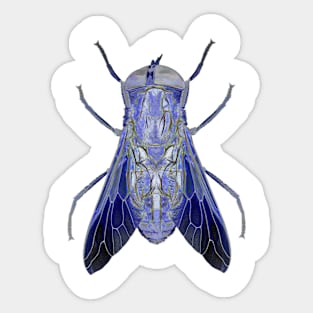 Horse Flies And Bites Sticker